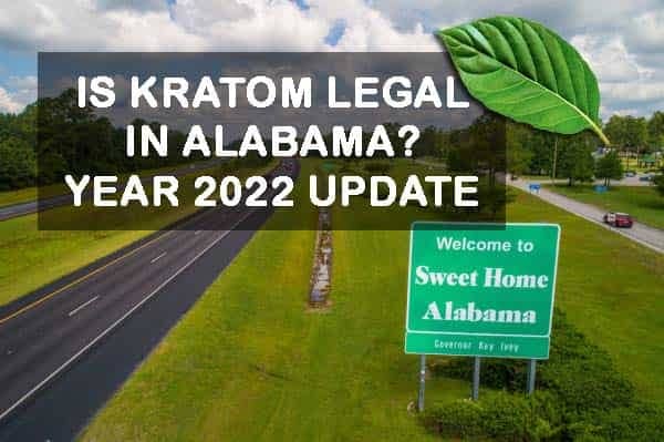 Is Kratom Legal in Alabama? Year 2022 Update