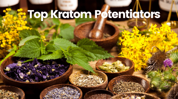 Enhance Kratom Effects With Potentiators
