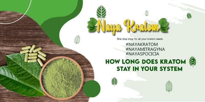 How Long Does Kratom Stay In Your System Naya Kratom